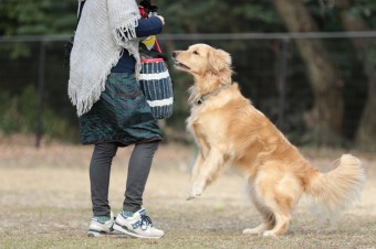 そんなに真面目に。。。 そんなに真面目に。。。