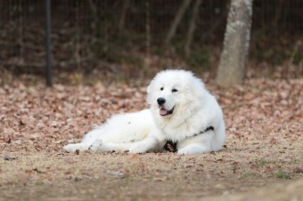 そんなに真面目に。。。 そんなに真面目に。。。