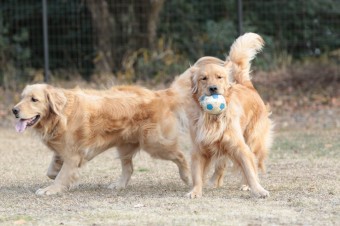 そんなに真面目に。。。 そんなに真面目に。。。