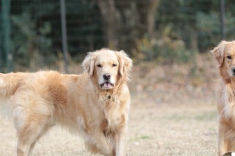 そんなに真面目に。。。 そんなに真面目に。。。