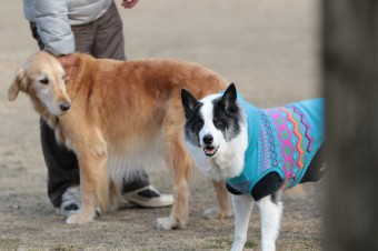 そんなに真面目に。。。 そんなに真面目に。。。