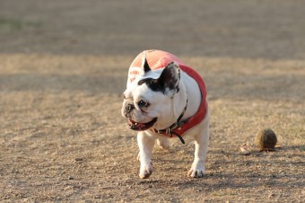 そんなに真面目に。。。 そんなに真面目に。。。