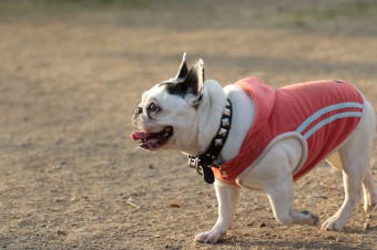 そんなに真面目に。。。 そんなに真面目に。。。