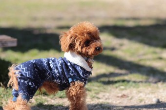 楽しいね♪ 楽しいね♪
