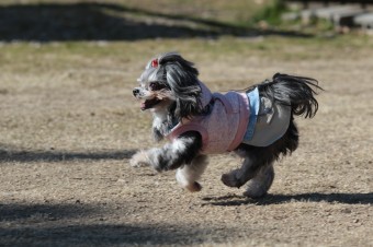 楽しいね♪ 楽しいね♪