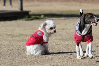 楽しいね♪ 楽しいね♪