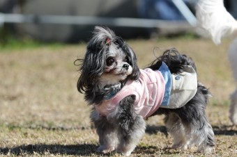 楽しいね♪ 楽しいね♪