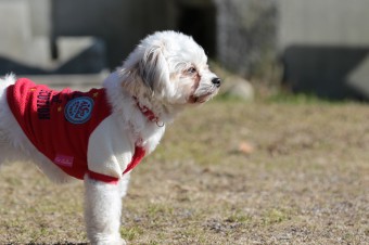 楽しいね♪ 楽しいね♪