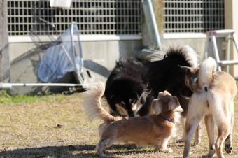 楽しいね♪ 楽しいね♪