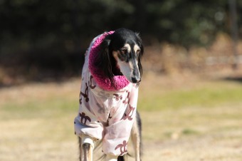 楽しいね♪ 楽しいね♪