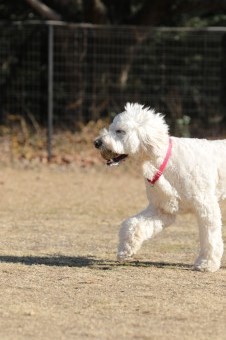 楽しいね♪ 楽しいね♪