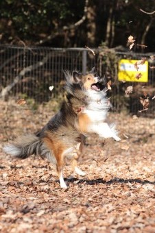 楽しいね♪ 楽しいね♪