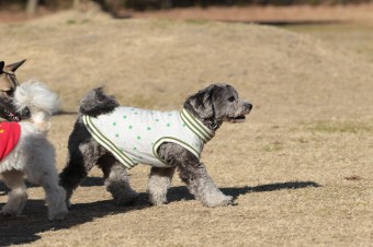 楽しいね♪ 楽しいね♪