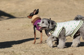楽しいね♪ 楽しいね♪