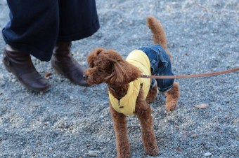 楽しいね♪ 楽しいね♪