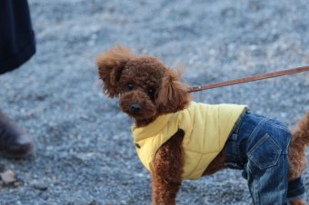 楽しいね♪ 楽しいね♪