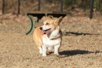 楽しいね♪ 楽しいね♪