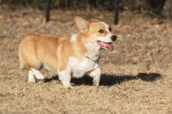 楽しいね♪ 楽しいね♪