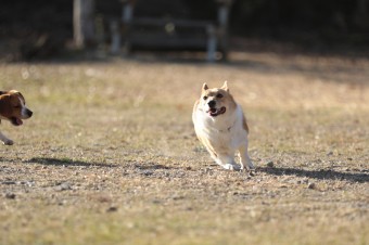 楽しいね♪ 楽しいね♪
