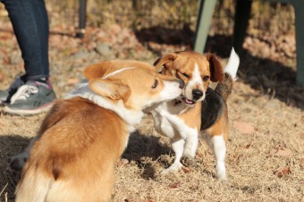 楽しいね♪ 楽しいね♪