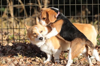 楽しいね♪ 楽しいね♪