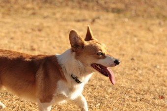 楽しいね♪ 楽しいね♪