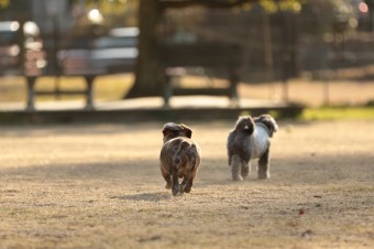 楽しいね♪ 楽しいね♪