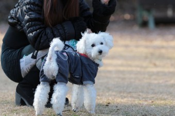楽しいね♪ 楽しいね♪