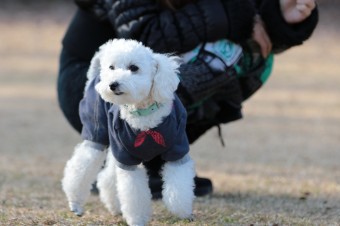 楽しいね♪ 楽しいね♪