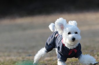楽しいね♪ 楽しいね♪