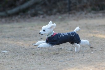 楽しいね♪ 楽しいね♪