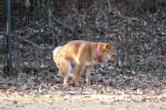 楽しいね♪ 楽しいね♪