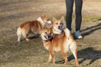 楽しいね♪ 楽しいね♪