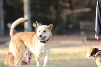 楽しいね♪ 楽しいね♪