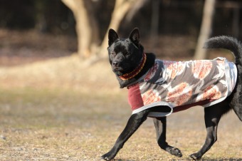 楽しいね♪ 楽しいね♪