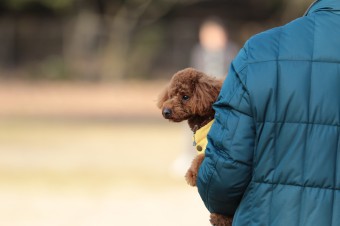 楽しいね♪ 楽しいね♪