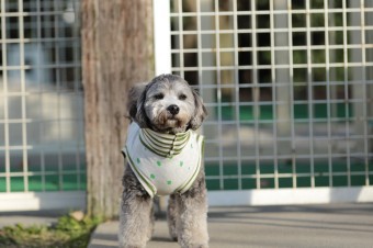楽しいね♪ 楽しいね♪