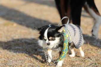 楽しいね♪ 楽しいね♪