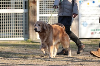 楽しいね♪ 楽しいね♪