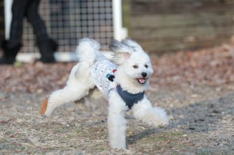 楽しいね♪ 楽しいね♪