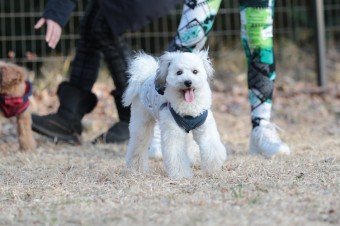 楽しいね♪ 楽しいね♪