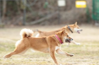 楽しいね♪ 楽しいね♪
