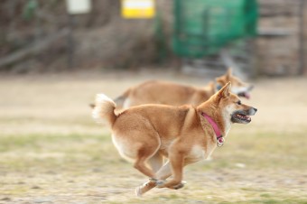 楽しいね♪ 楽しいね♪