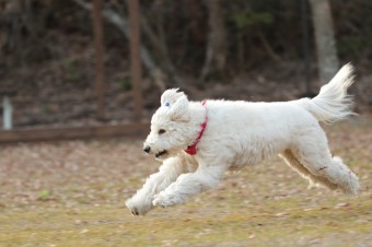 楽しいね♪ 楽しいね♪