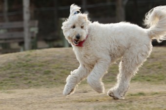 楽しいね♪ 楽しいね♪