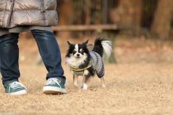 楽しいね♪ 楽しいね♪
