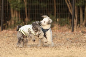 楽しいね♪ 楽しいね♪