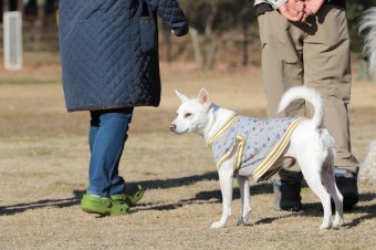 先週の平日♪ 先週の平日♪