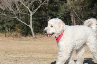 先週の平日♪ 先週の平日♪