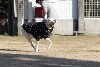 先週の平日♪ 先週の平日♪